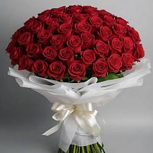 Букет 101 Красная роза Блэк Мэджик в Кротовка