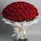 Букет 101 Красная роза Блэк Мэджик в Кротовка