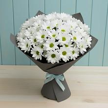 Букет цветов из:  Хризантемы в Кротовка