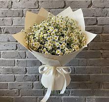 Букет цветов из:  Ромашки #REPLACE_PRED# Кротовка