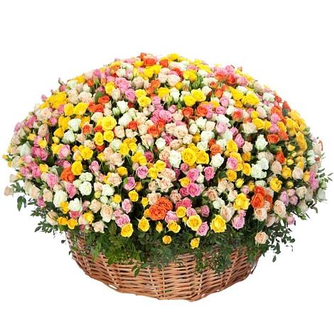Премиум букет из: Розы в Кротовка