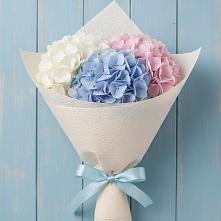 Букет цветов из:  Гортензия в Кротовка