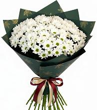Букет цветов из:  Хризантемы #REPLACE_PRED# Кротовка