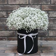 Цветочная композиция из Гипсофила в шляпной коробке #REPLACE_PRED# Кротовка