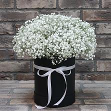 Цветочная композиция из Гипсофила в шляпной коробке в Кротовка