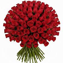 Букет Красные розы Чери Лав в Кротовка