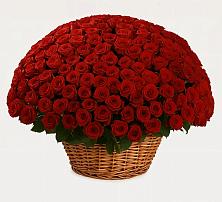 Премиум букет из: Розы #REPLACE_PRED# Кротовка