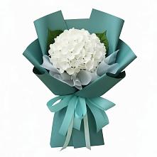 Букет цветов из:  Гортензия в Кротовка